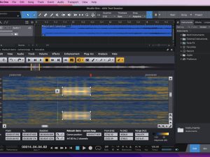 Acon Digital Acoustica 7
