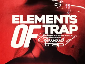 KXVI Elements of Trap