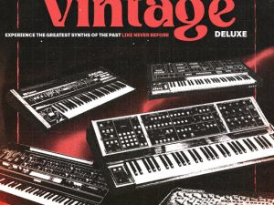What’s Inside Synth Palace